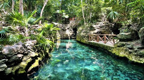  Xcaret Park! A Mayan Paradise Beckoning You To Ancient Wonders and Thrilling Adventures